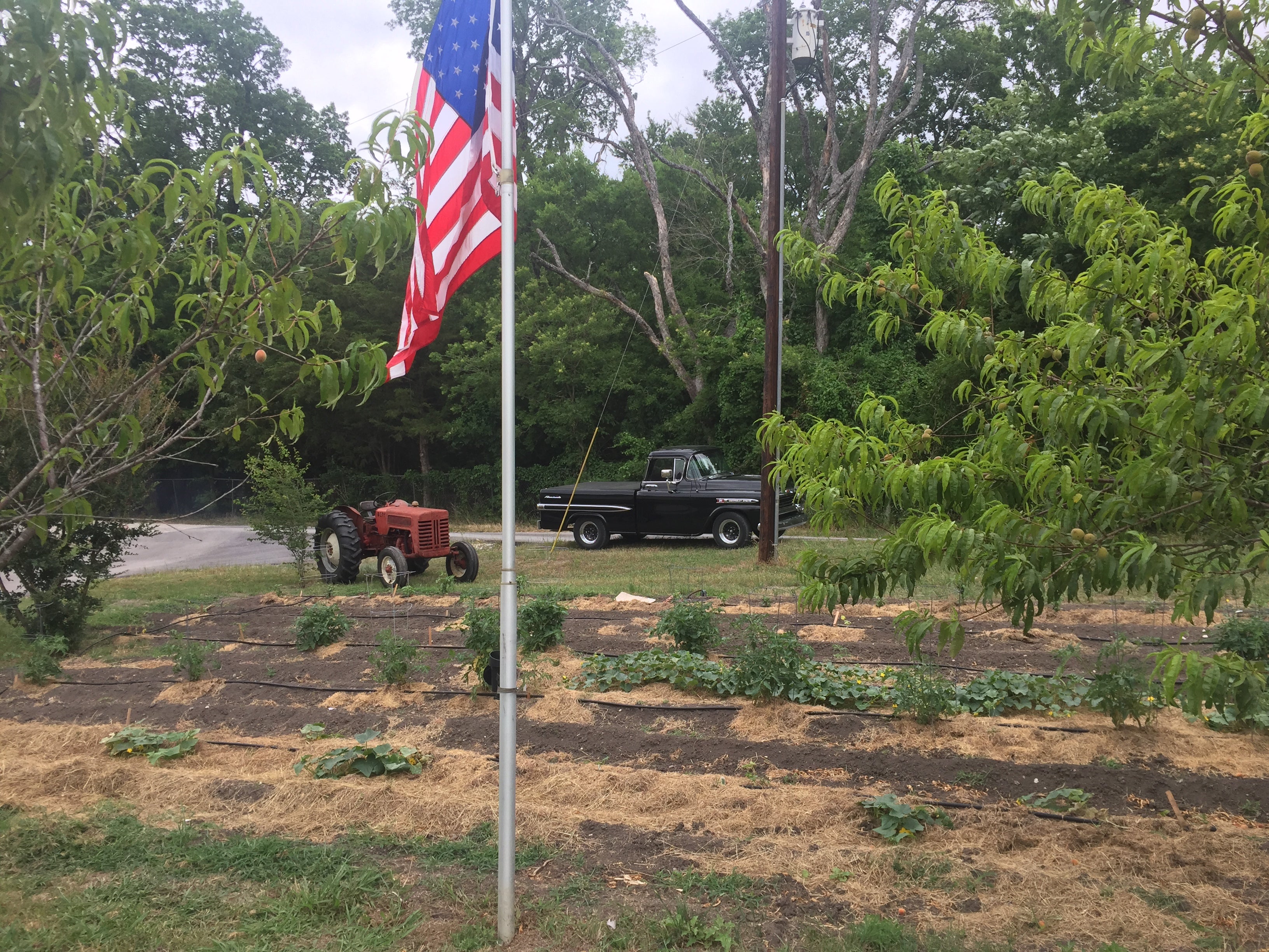 1959 Chevy Apache Parts